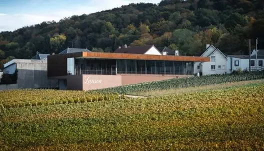 04_vineyard_winery
